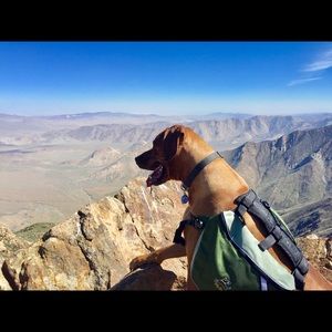 Info about sales/closet HERE! -Jenn